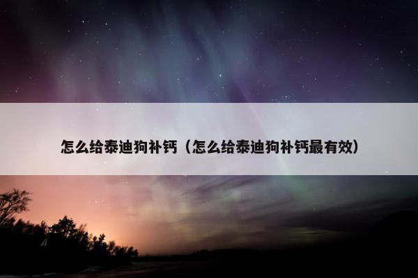 怎么给泰迪狗补钙（怎么给泰迪狗补钙最有效）