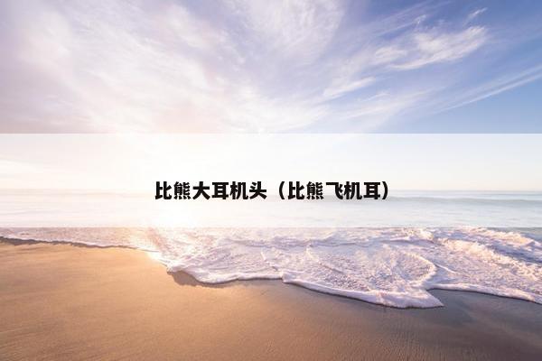 比熊大耳机头（比熊飞机耳）