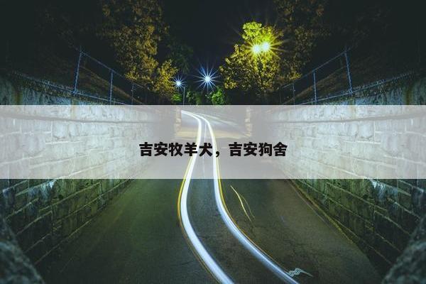 吉安牧羊犬，吉安狗舍