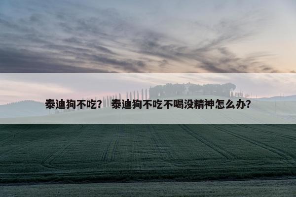 泰迪狗不吃？ 泰迪狗不吃不喝没精神怎么办？