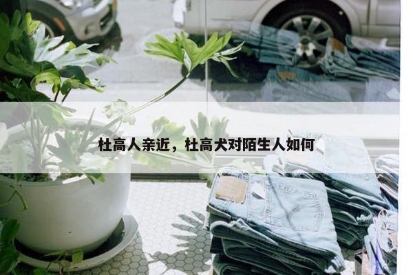 杜高人亲近，杜高犬对陌生人如何