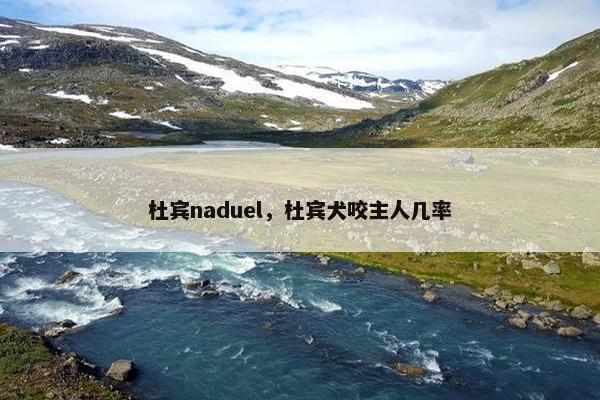 杜宾naduel，杜宾犬咬主人几率