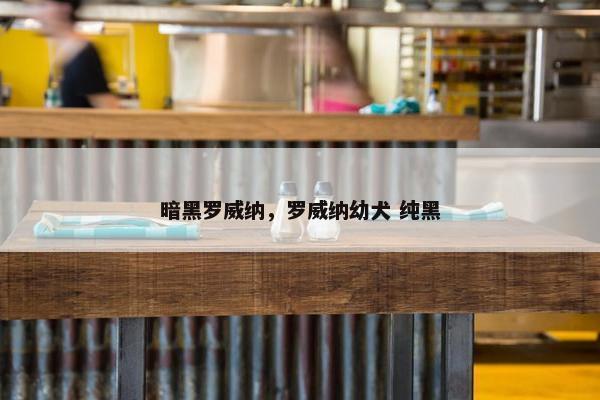 暗黑罗威纳，罗威纳幼犬 纯黑