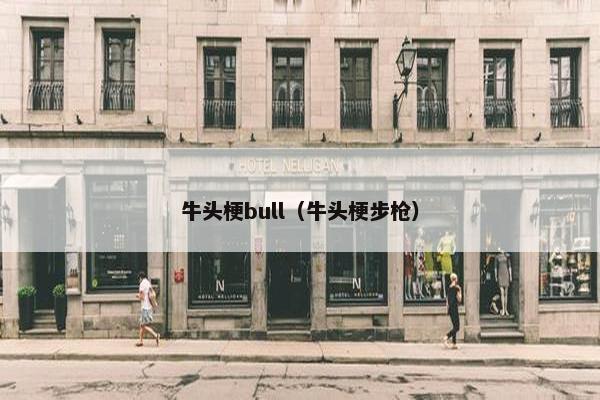 牛头梗bull（牛头梗步枪）
