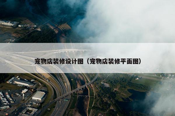 宠物店装修设计图（宠物店装修平面图）