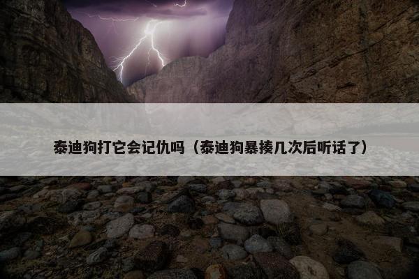 泰迪狗打它会记仇吗（泰迪狗暴揍几次后听话了）