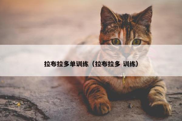 拉布拉多单训练（拉布拉多 训练）