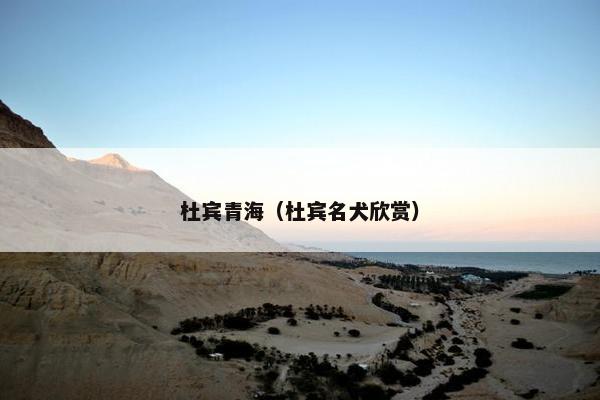 杜宾青海（杜宾名犬欣赏）