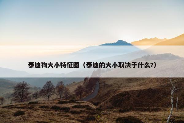 泰迪狗大小特征图（泰迪的大小取决于什么?）