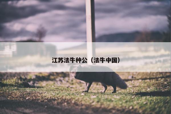 江苏法牛种公（法牛中国）