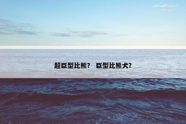 超巨型比熊？ 巨型比熊犬？