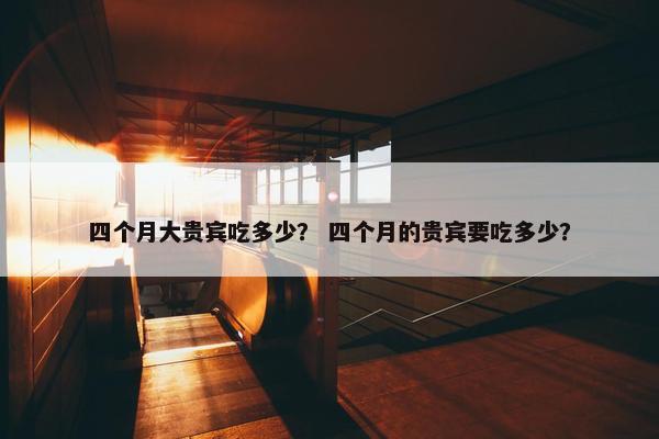 四个月大贵宾吃多少？ 四个月的贵宾要吃多少？