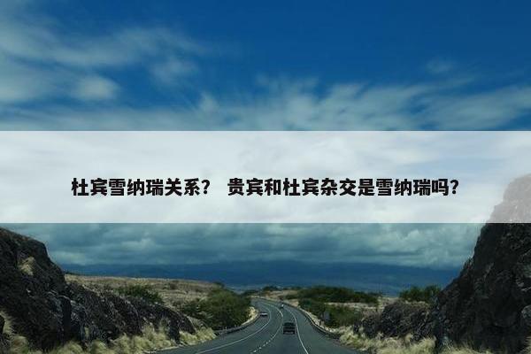 杜宾雪纳瑞关系？ 贵宾和杜宾杂交是雪纳瑞吗？