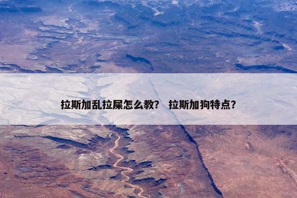 拉斯加乱拉屎怎么教？ 拉斯加狗特点？